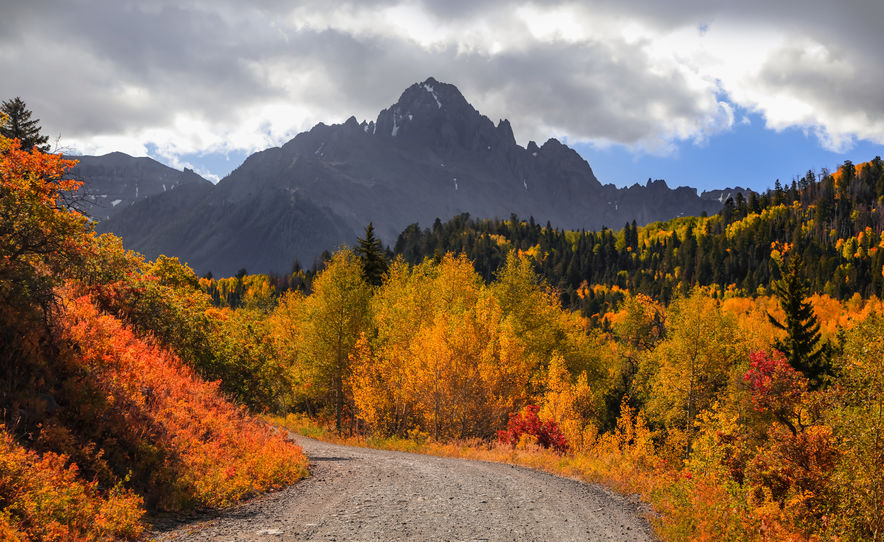 Fall colors