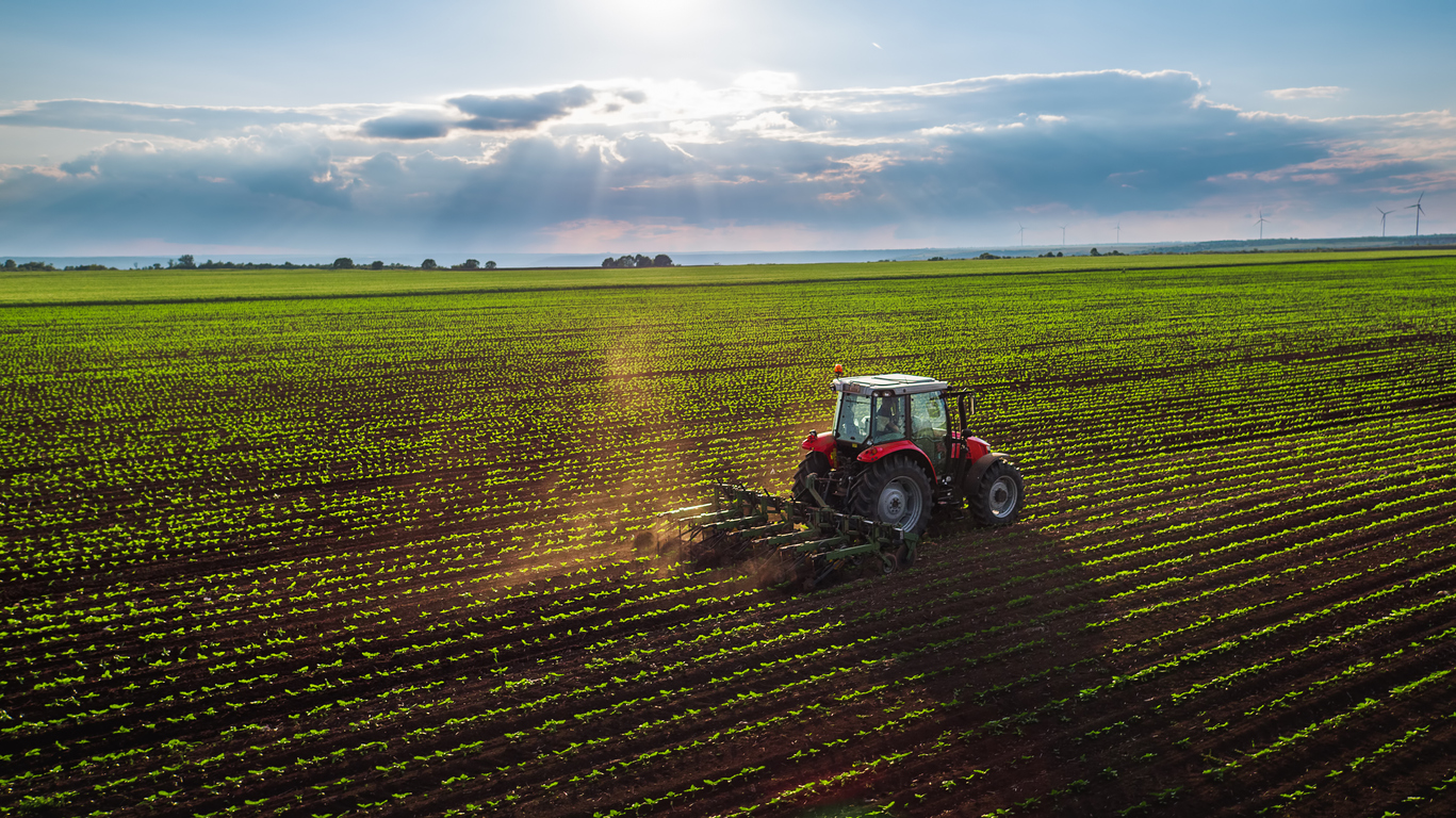 Farmer cultivating field