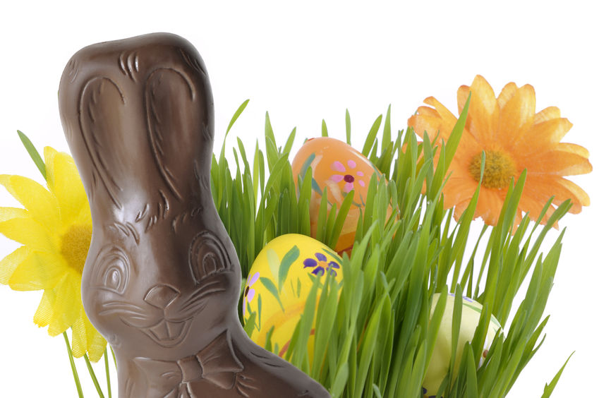Chocolate bunny and flowers